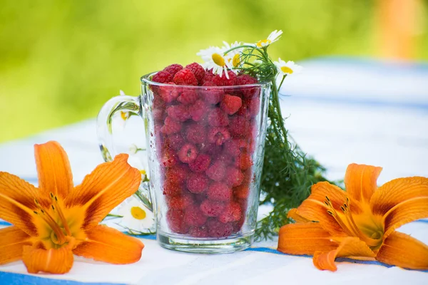 Raspberry jam and fresh berries — Stock Photo, Image