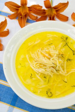 tavuk suyu iştah açıcı erişte