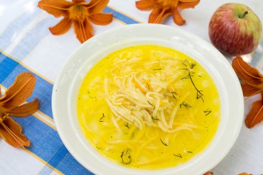 tavuk suyu iştah açıcı erişte