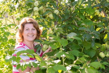 elma bahçesi kadında