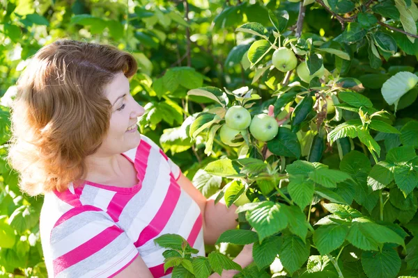 Жінка в яблучному саду — стокове фото