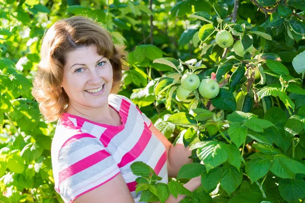 De vrouw in de appelboomgaard — Stockfoto