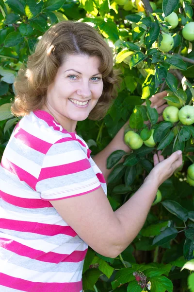 The woman in the apple orchard — Stock Photo, Image