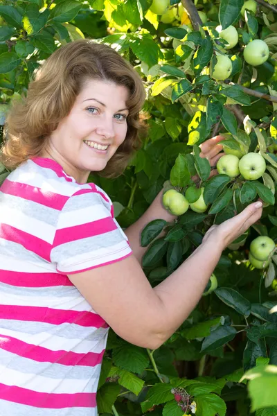 Жінка в яблучному саду — стокове фото