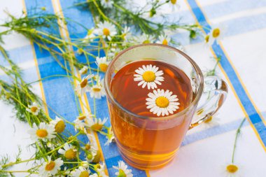 bir cam bardak bitkisel papatya çayı