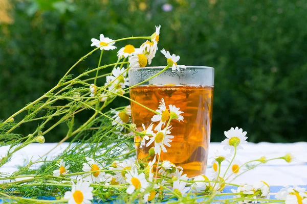 Травяной ромашковый чай в стакане — стоковое фото