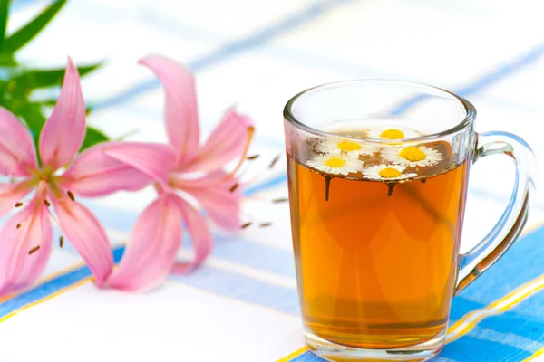 Herbal chamomile tea in a glass cup — Stock Photo, Image