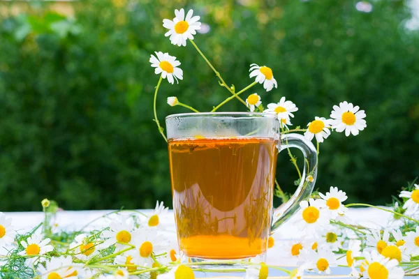 Herbal chamomile tea in a glass cup — Stock Photo, Image