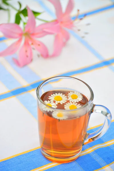 Травяной ромашковый чай в стакане — стоковое фото