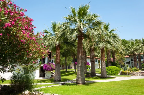 Resort hotelli palmu puutarha. Turkki — kuvapankkivalokuva