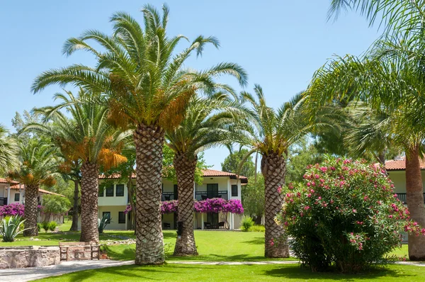 palm garden Resort otel. Türkiye