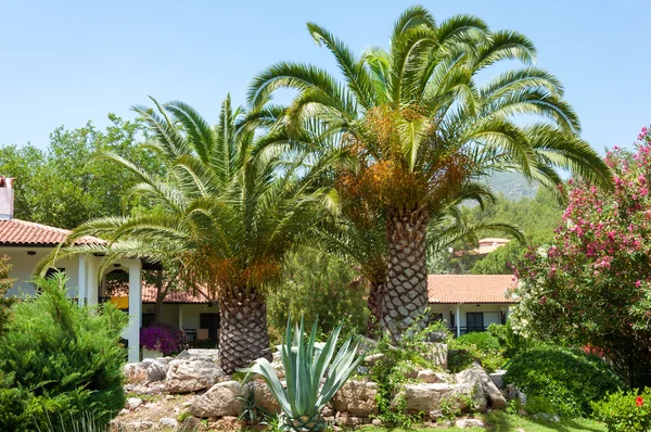 Resort hotel s palmovou zahradou. Turecko — Stock fotografie