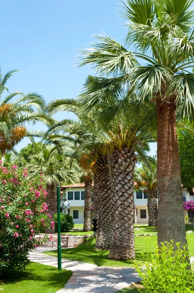 palm garden Resort otel. Türkiye