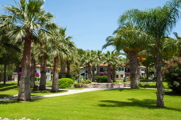 A palm garden Resort hotel. Törökország — Stock Fotó