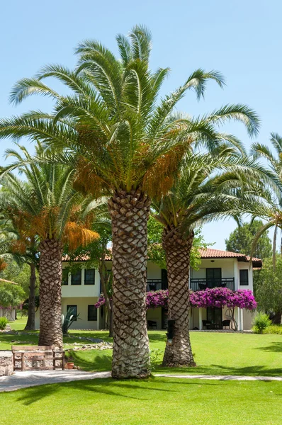 Resort hotel com um jardim de palmeiras. Turquia — Fotografia de Stock