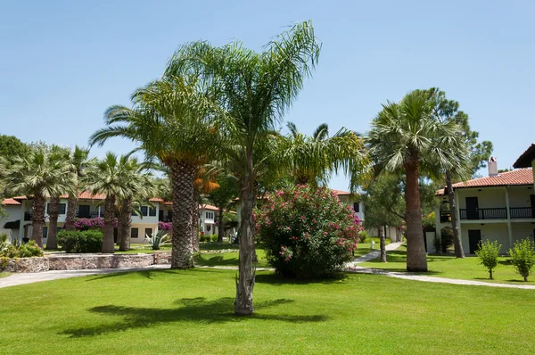 A palm garden Resort hotel. Törökország — Stock Fotó