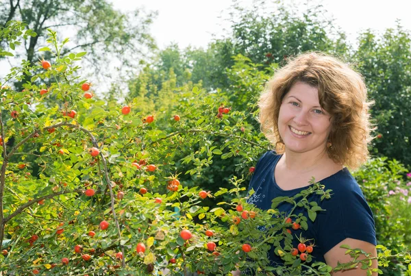 Kvinna skördar wild Rose i trädgården — Stockfoto