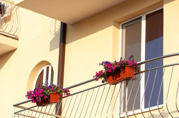 Potted flowers on balcony — Stock Photo, Image