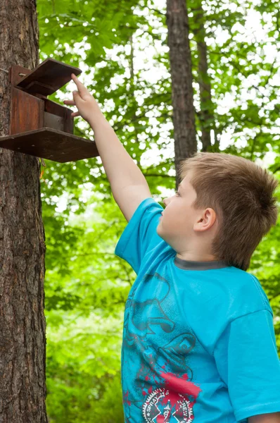 A boy of about bird feeders — Stock Photo, Image