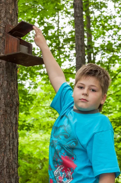 A boy of about bird feeders — Stock Photo, Image