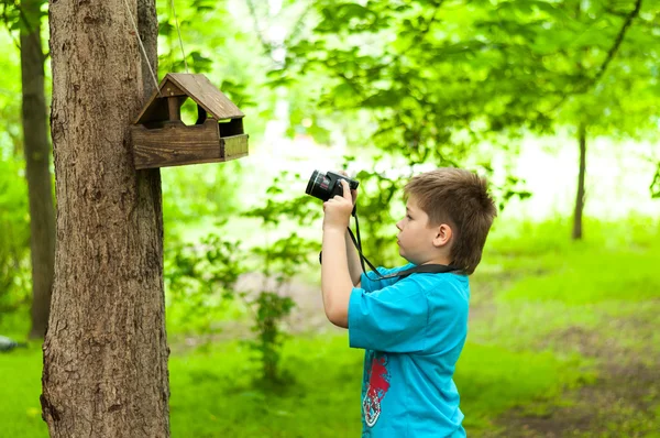 Boy photographing a bird feeder — Stock Photo, Image