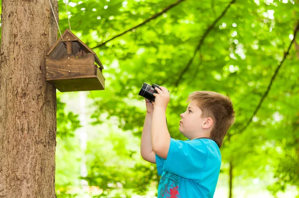 Niño fotografiando un comedero de aves — Foto de Stock