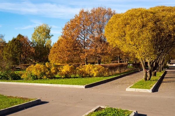 Podzimní park za slunečného dne — Stock fotografie