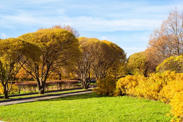 Podzimní park za slunečného dne — Stock fotografie