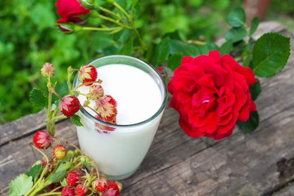Szklanka mleka i świeżych truskawek — Zdjęcie stockowe