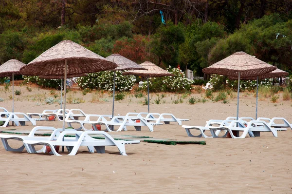 Beach umbrellas and sunbeds — Stock Photo, Image