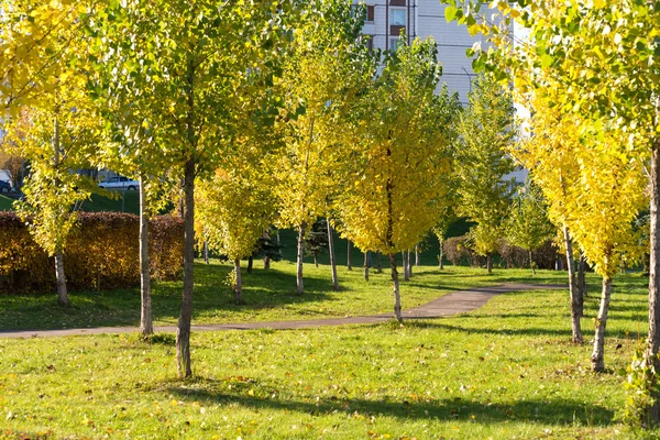 Podzimní park za slunečného dne — Stock fotografie