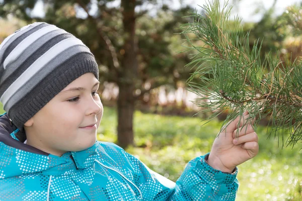 Un niño en un parque de pinos — Foto de Stock