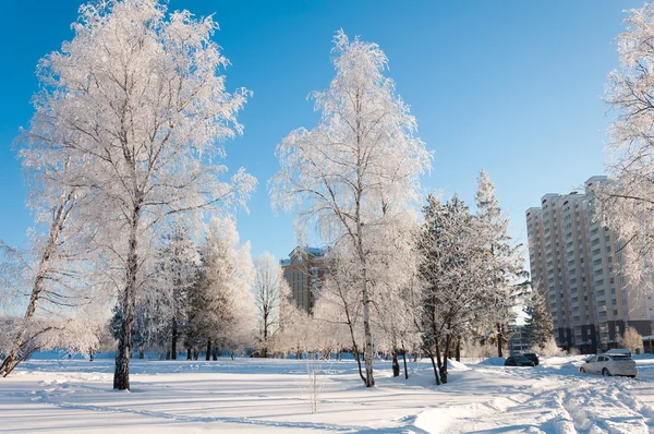 Winter in Moskou, Rusland — Stockfoto