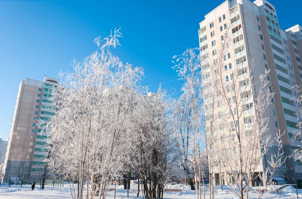 Inverno a Mosca, Russia — Foto Stock