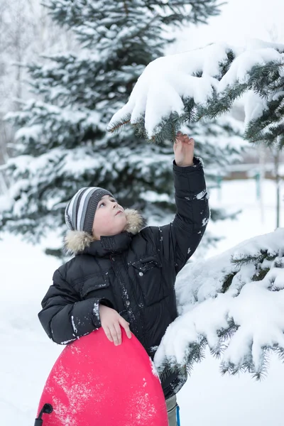 Pojke i en snöig skog med en kälke — Stockfoto