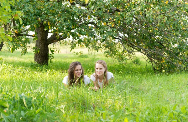 Chicas en un huerto de manzanas en verano —  Fotos de Stock