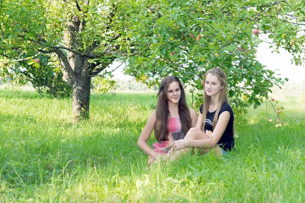 Κορίτσια σε ένα μήλο οπωρώνα το καλοκαίρι — Φωτογραφία Αρχείου
