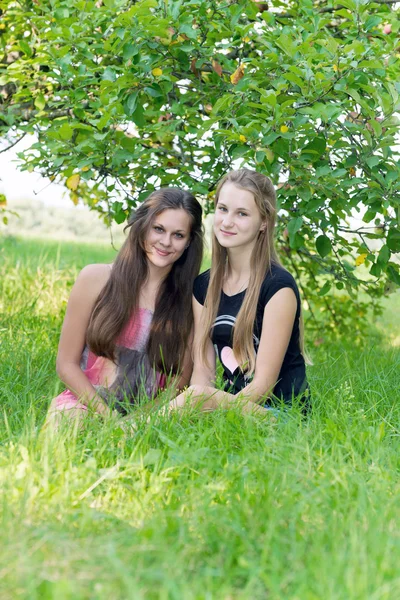 Meninas em um pomar de maçã no verão — Fotografia de Stock