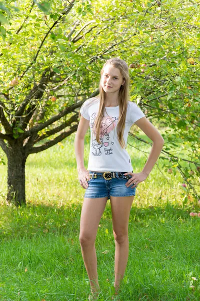 Girl in apple orchard in summer Stock Picture