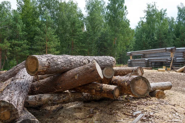 Sosna nie struganego drewna na wolnym powietrzu — Zdjęcie stockowe