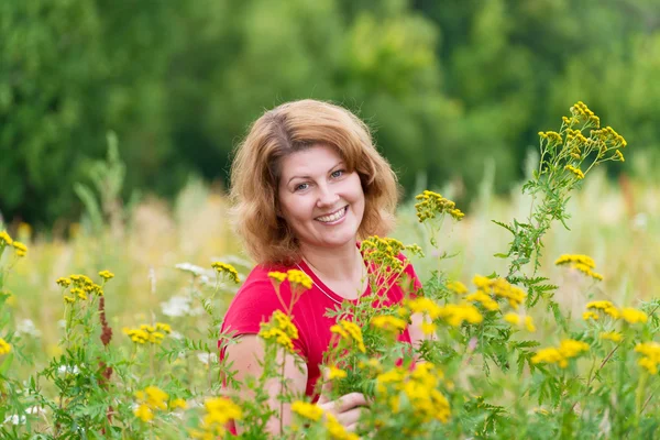 Middle-aged woman on a meadow with tansy — Stock Photo, Image