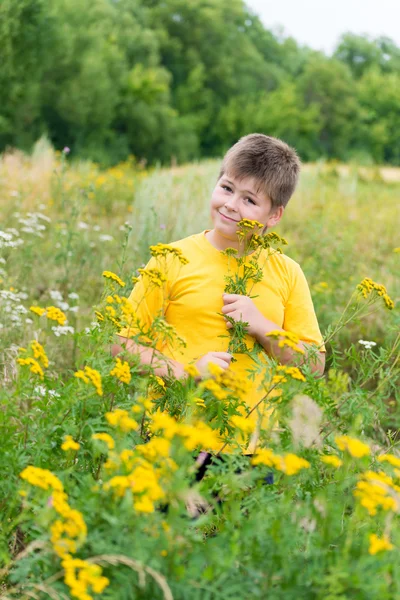 Boy on meadow with tansy — Stock Photo, Image