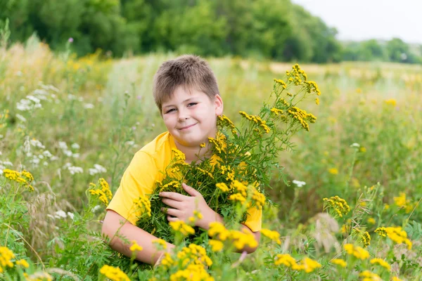 Boy on meadow with tansy — Stock Photo, Image
