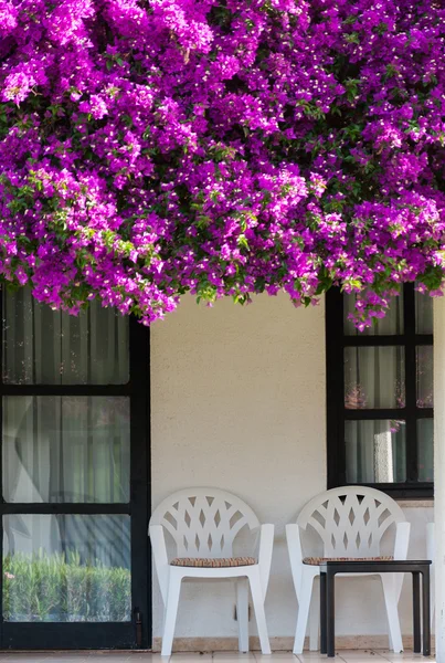 Terraço coberto de flores — Fotografia de Stock