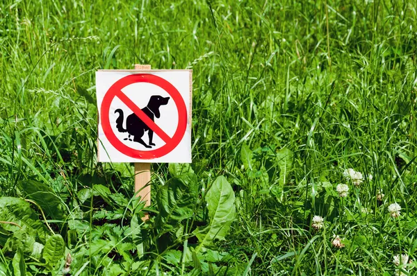 Schild verbietet Hundescheiße auf dem Rasen — Stockfoto