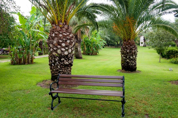 Banco de madera en el jardín de palmeras — Foto de Stock