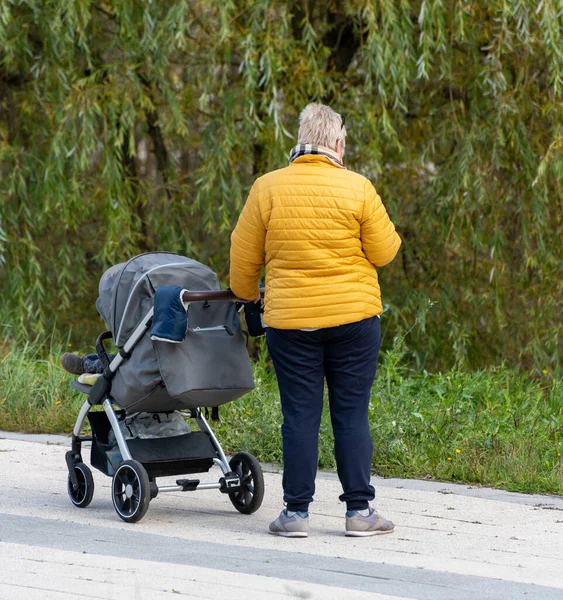 Uma Jovem Mãe Gorda Com Uma Carruagem Bebê Parque Outono — Fotografia de Stock