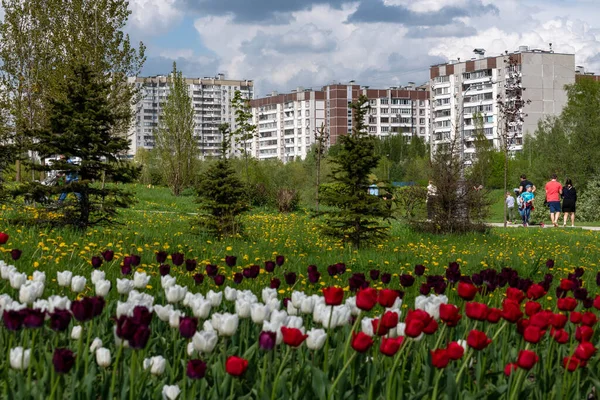 Зеленоград Екологічно Дружній Район Північному Заході Москви Росія — стокове фото