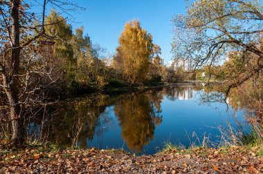 Zelenograd 'daki Aşağı Kamensky Gölü, Moskova, Rusya