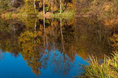 Zelenograd 'daki Aşağı Kamensky Gölü, Moskova, Rusya